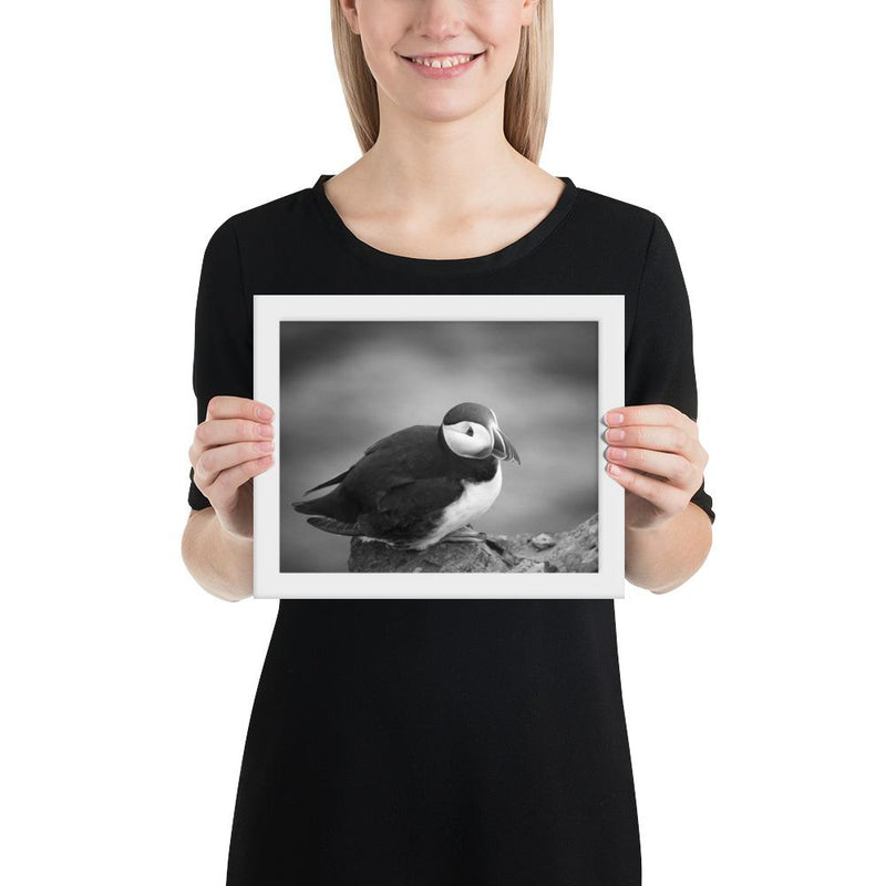 Atlantic Puffin Black and White - Go Wild Photography [description]  [price]