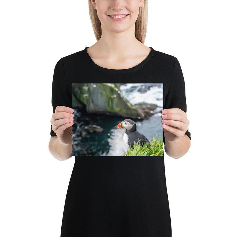 Puffin Cliffs - Go Wild Photography [description]  [price]