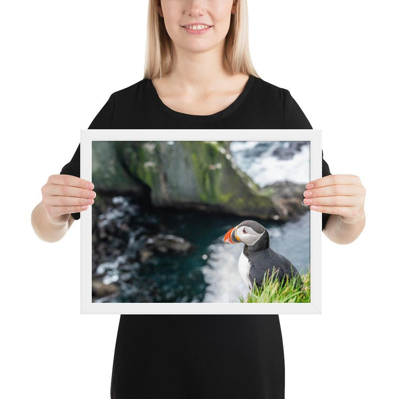 Puffin Cliffs - Go Wild Photography [description]  [price]
