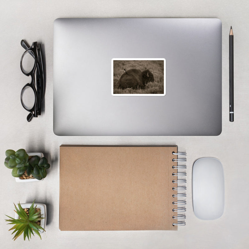 The Bison and the Magpie Bubble-free stickers - Go Wild Photography [description]  [price]