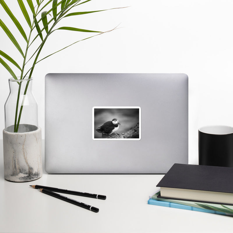 Atlantic Puffin Black and White Bubble-free stickers - Go Wild Photography [description]  [price]