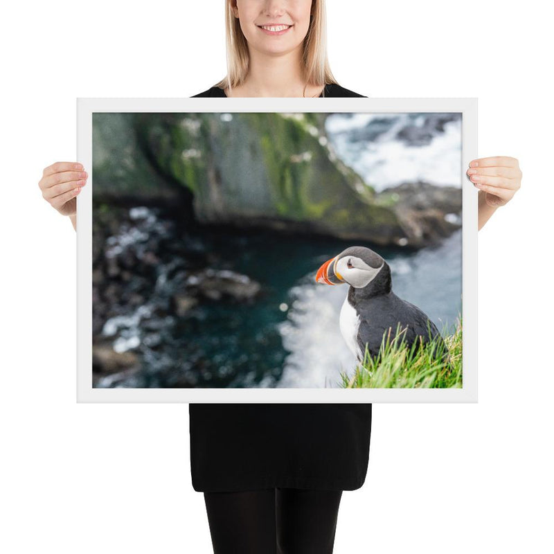 Puffin Cliffs - Go Wild Photography [description]  [price]