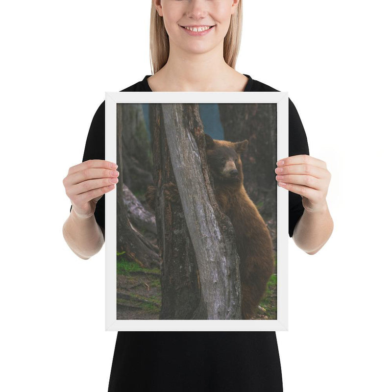 Bear Hug - Go Wild Photography [description]  [price]