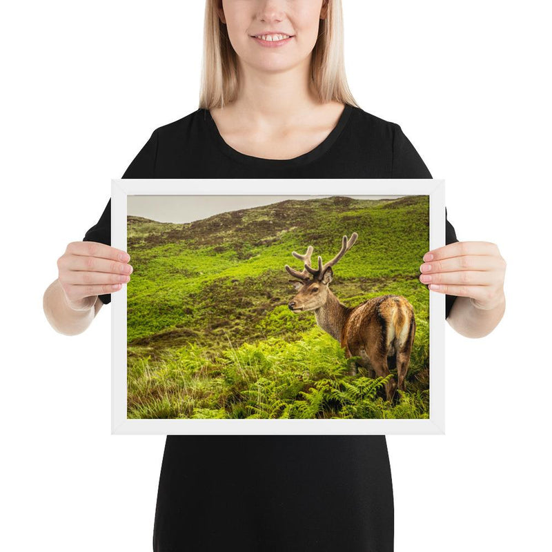 Prince of the Forest - Go Wild Photography [description]  [price]