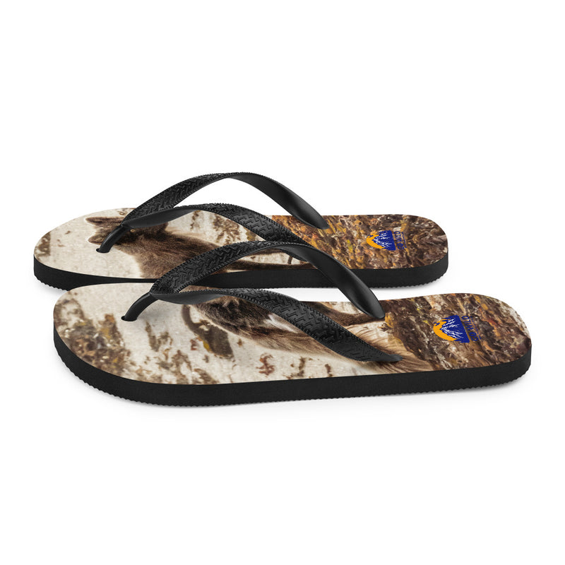 Vulpes Flip-Flops - Go Wild Photography [description]  [price]