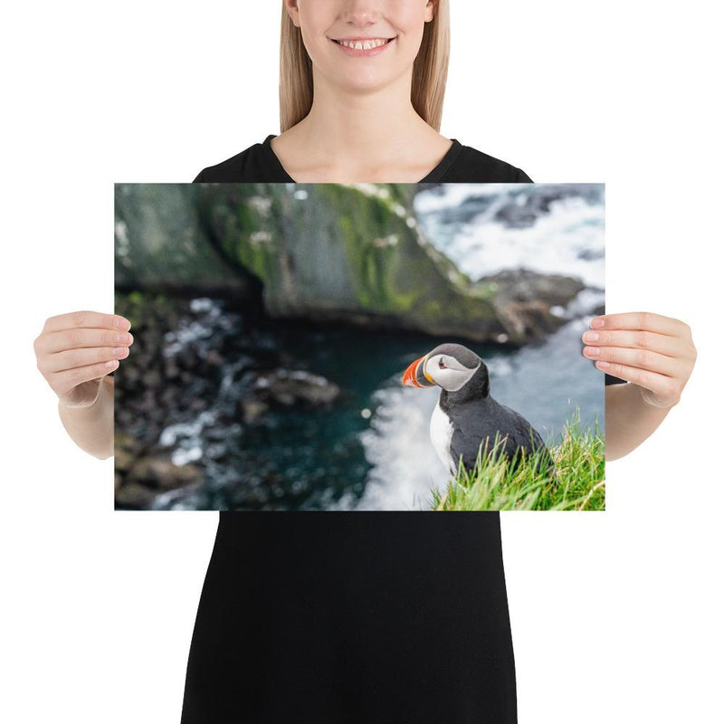 Puffin Cliffs - Go Wild Photography [description]  [price]