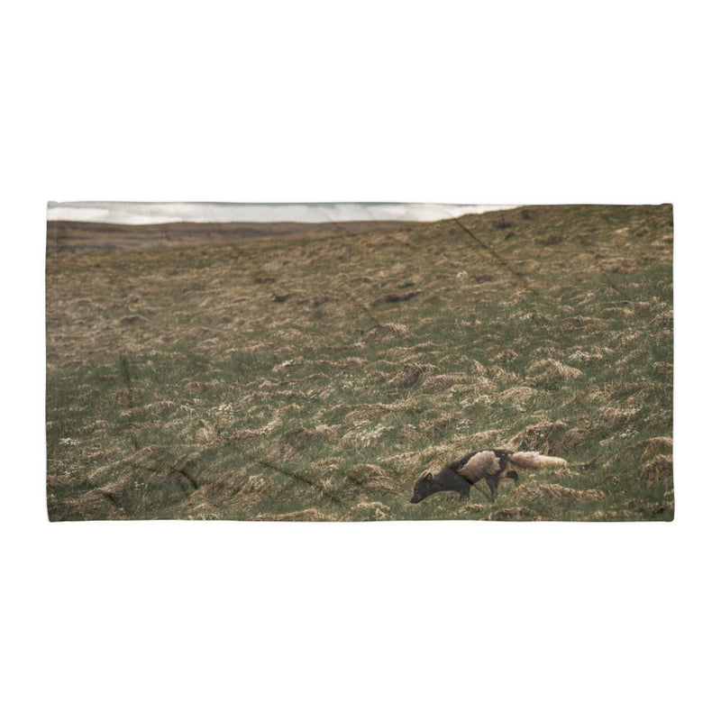 Into the Wind Towel - Go Wild Photography [description]  [price]
