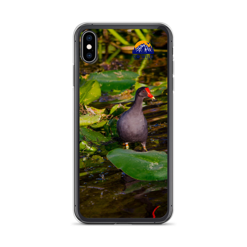 Common Moorhen iPhone Case - Go Wild Photography [description]  [price]