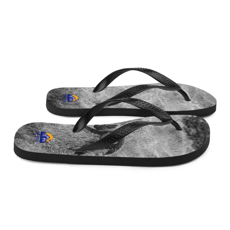 Black and Arctic Fox Flip-Flops - Go Wild Photography [description]  [price]