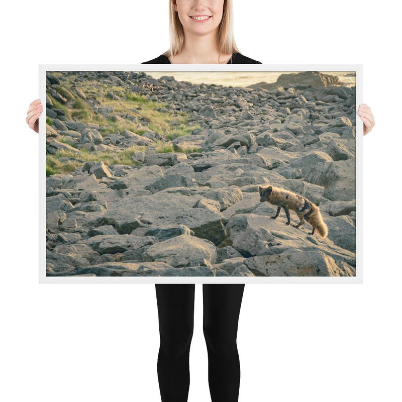 Arctic Fox - Go Wild Photography [description]  [price]