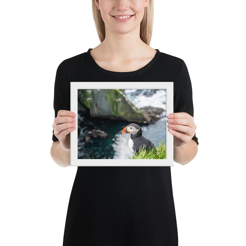 Puffin Cliffs - Go Wild Photography [description]  [price]