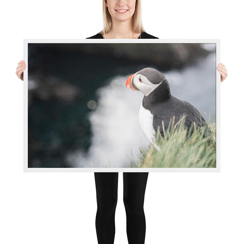 Stoic Puffin - Go Wild Photography [description]  [price]
