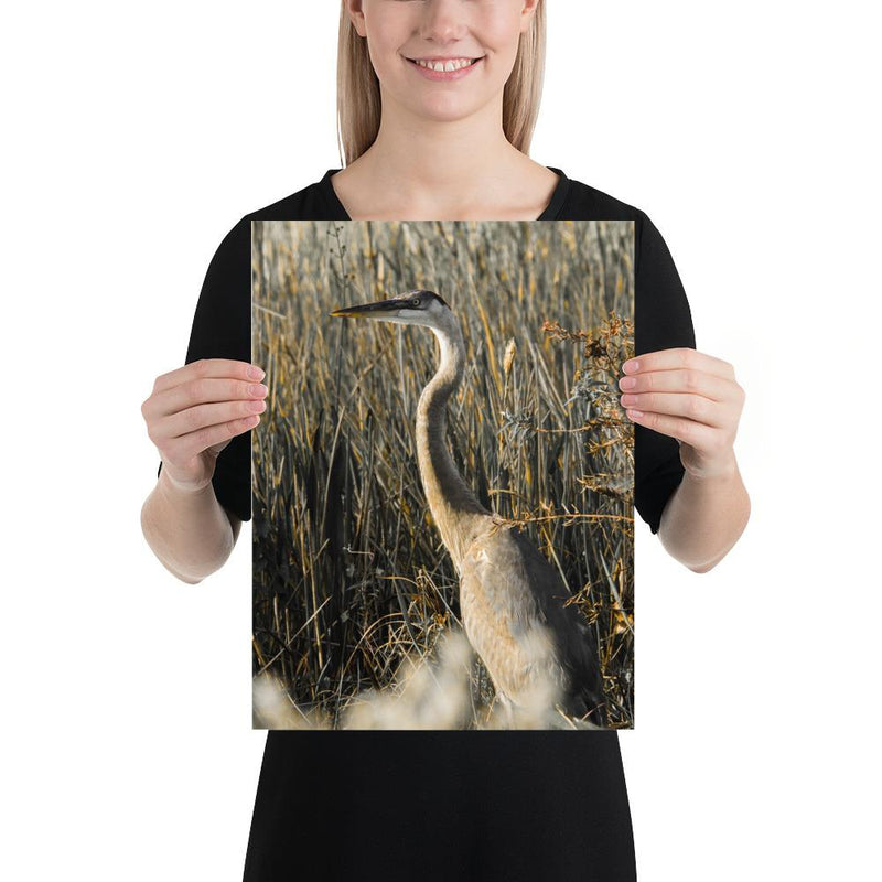 Heron - Go Wild Photography [description]  [price]