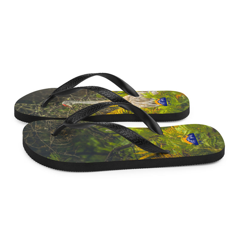 Sandhill Crane Flip-Flops - Go Wild Photography [description]  [price]