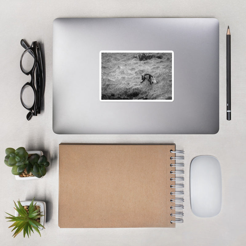 Black and Arctic Fox Bubble-free stickers - Go Wild Photography [description]  [price]
