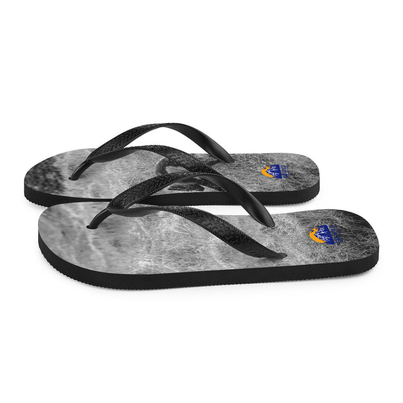 Black and Arctic Fox Flip-Flops - Go Wild Photography [description]  [price]