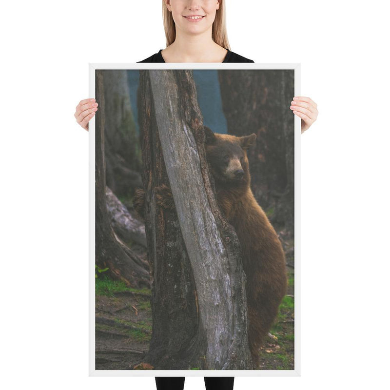 Bear Hug - Go Wild Photography [description]  [price]