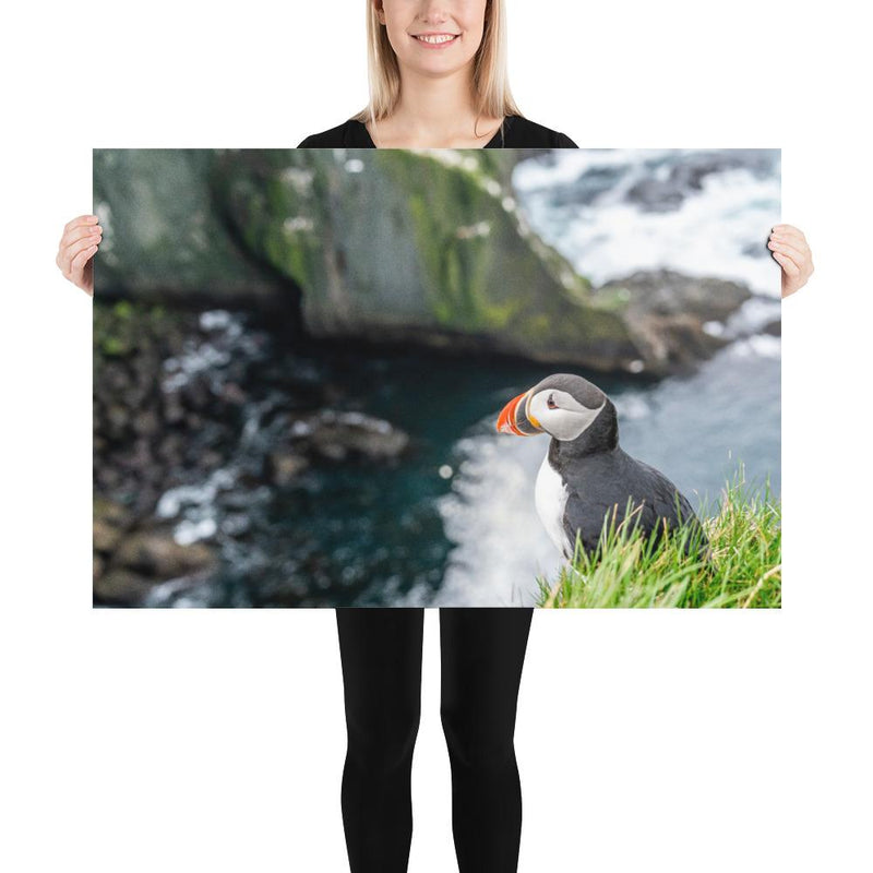 Puffin Cliffs - Go Wild Photography [description]  [price]