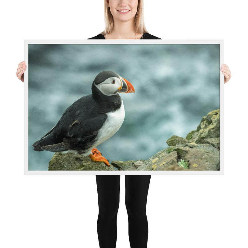 Atlantic Puffin - Go Wild Photography [description]  [price]