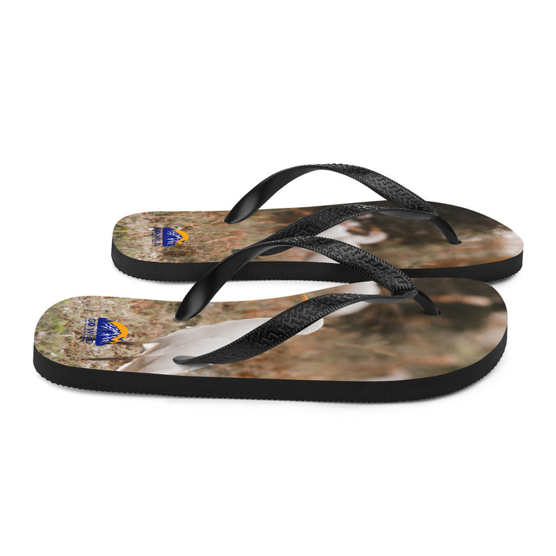 Winter Egret Flip-Flops - Go Wild Photography [description]  [price]