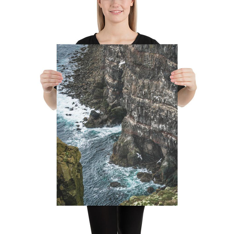 Gull Gulley - Go Wild Photography [description]  [price]