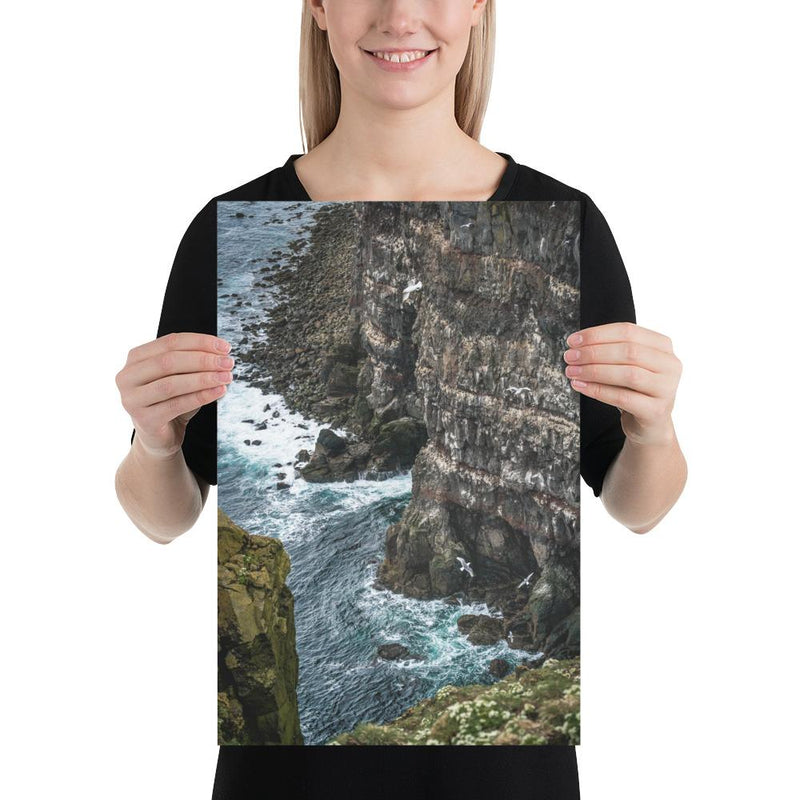 Gull Gulley - Go Wild Photography [description]  [price]