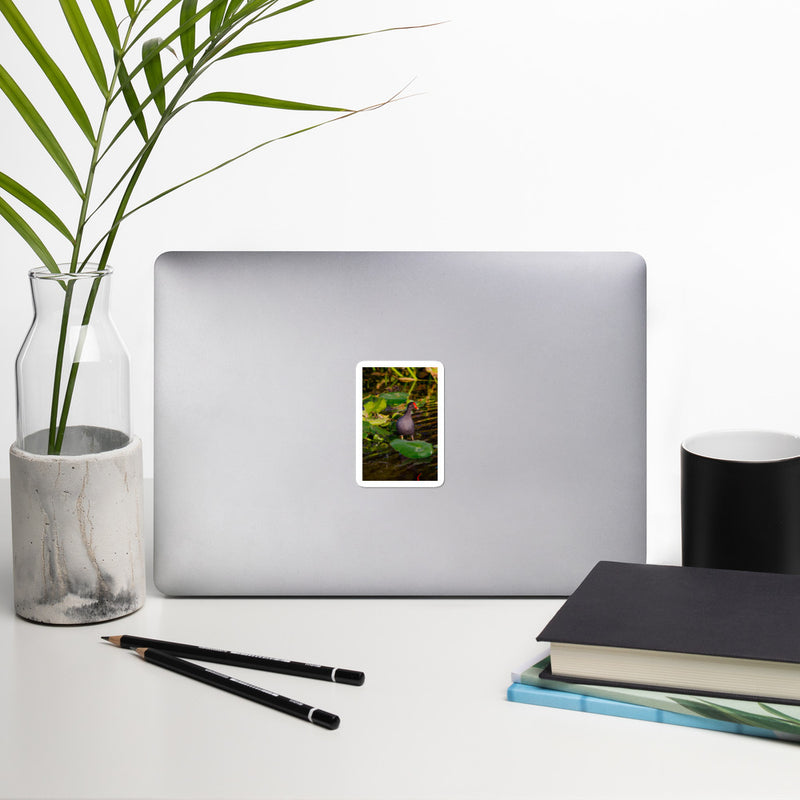 Common Moorhen Bubble-free stickers - Go Wild Photography [description]  [price]