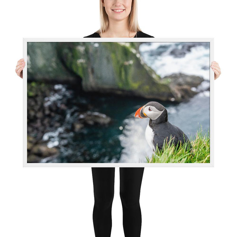 Puffin Cliffs - Go Wild Photography [description]  [price]