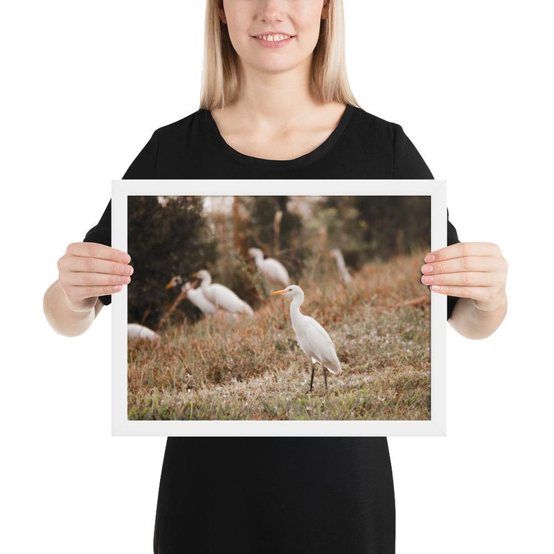 Winter Egret - Go Wild Photography [description]  [price]