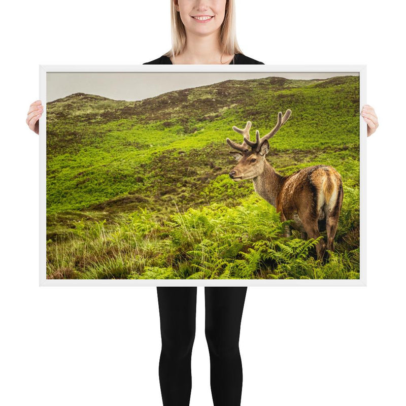 Prince of the Forest - Go Wild Photography [description]  [price]