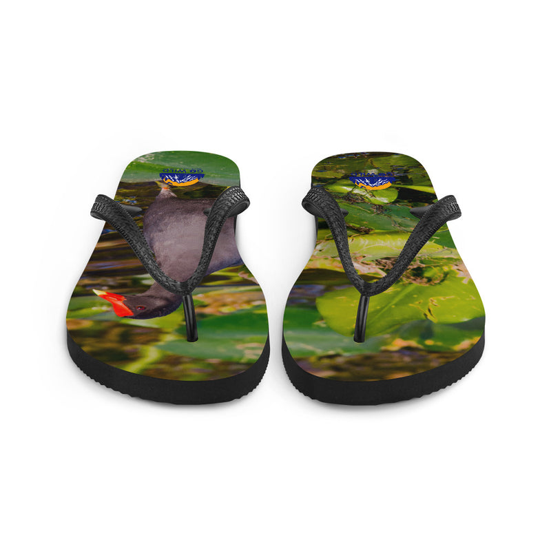 Common Moorhen Flip-Flops - Go Wild Photography [description]  [price]