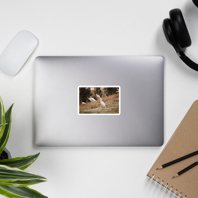 Winter Egret Bubble-free stickers - Go Wild Photography [description]  [price]