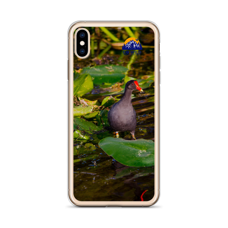 Common Moorhen iPhone Case - Go Wild Photography [description]  [price]