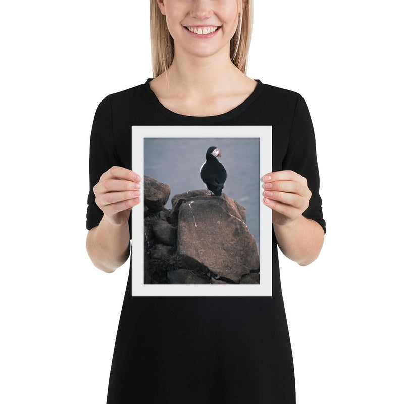 Lone Puffin - Go Wild Photography [description]  [price]