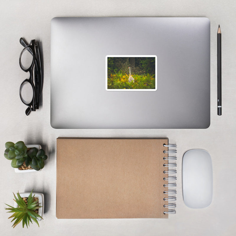 Sandhill Crane Bubble-free stickers - Go Wild Photography [description]  [price]