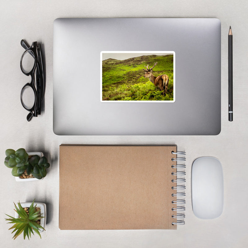 Prince of the Forest Bubble-free stickers - Go Wild Photography [description]  [price]