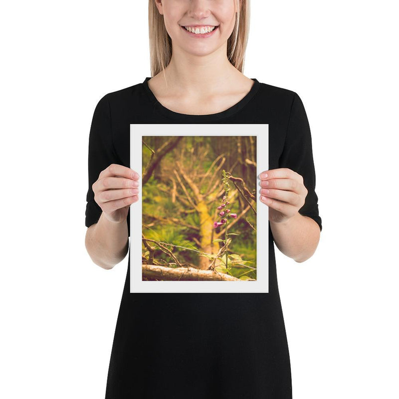 Life Finds a Way - Go Wild Photography [description]  [price]