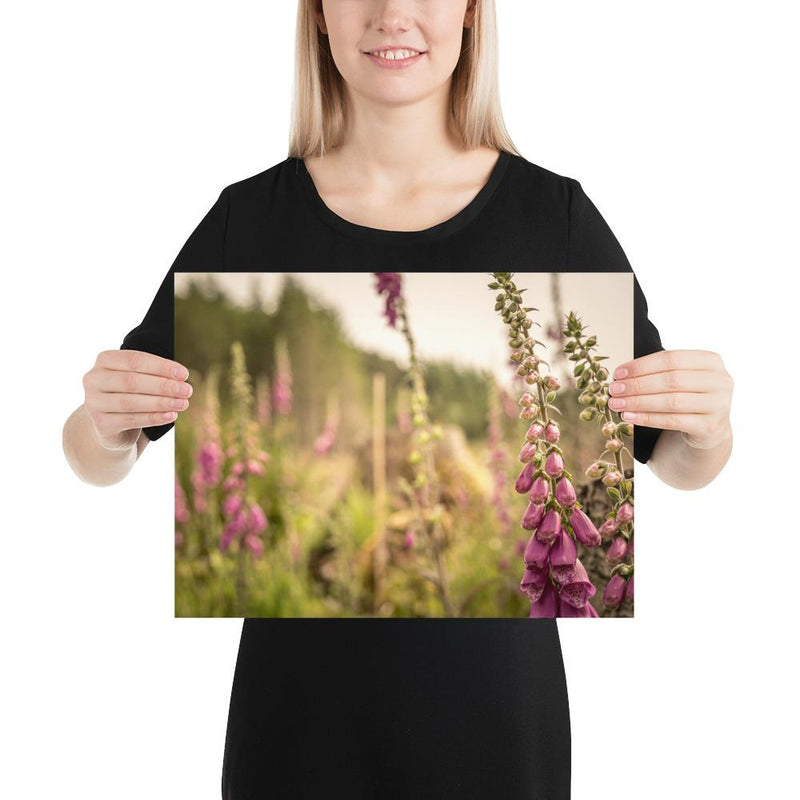 Fox Gloves - Go Wild Photography [description]  [price]