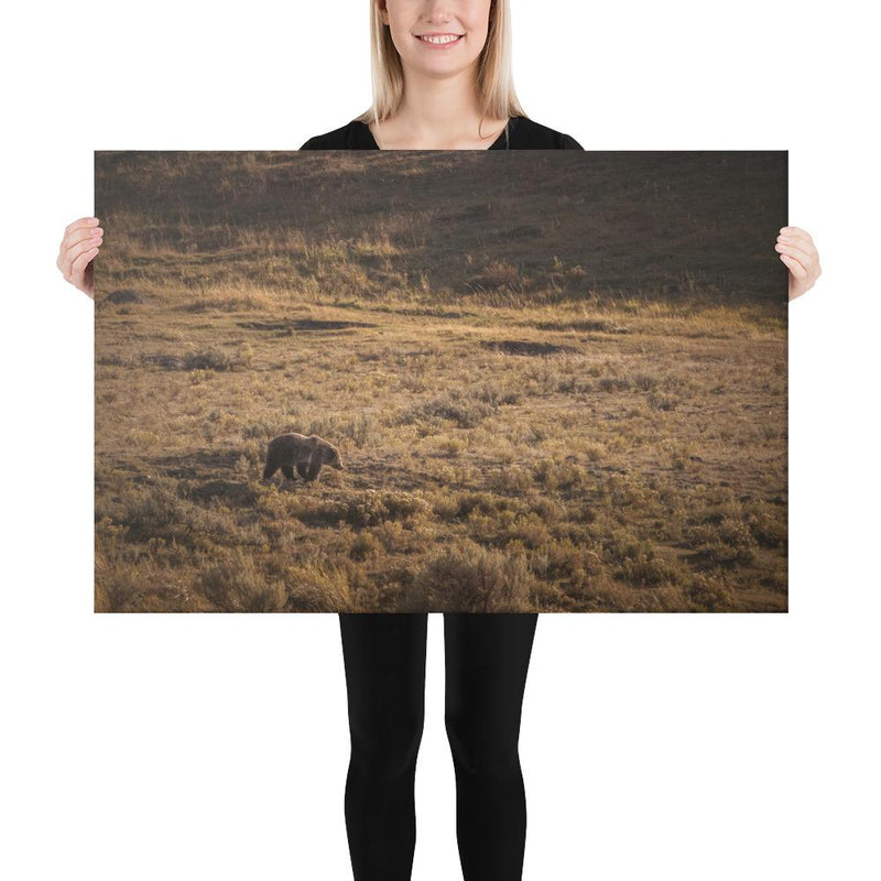Grizzly - Go Wild Photography [description]  [price]