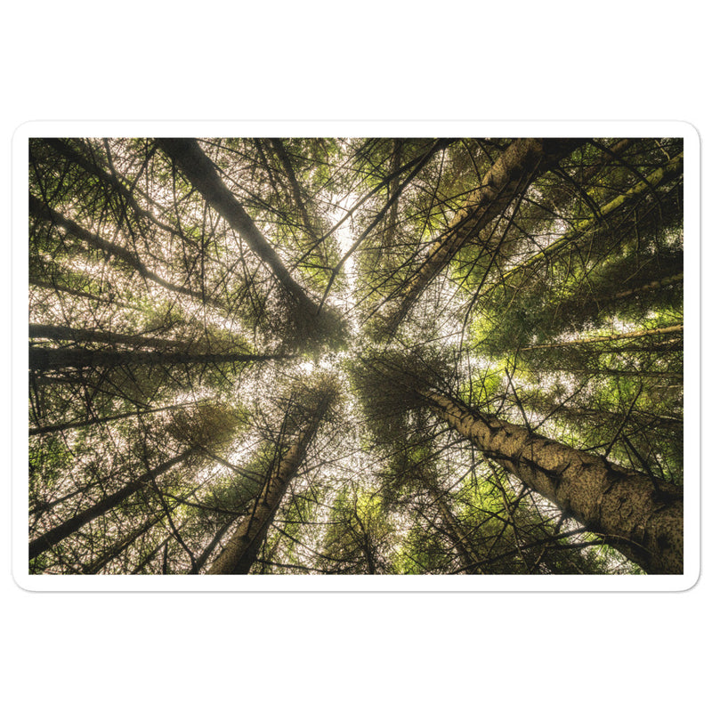 The Most Remote Woods in Scotland Bubble-free stickers - Go Wild Photography [description]  [price]