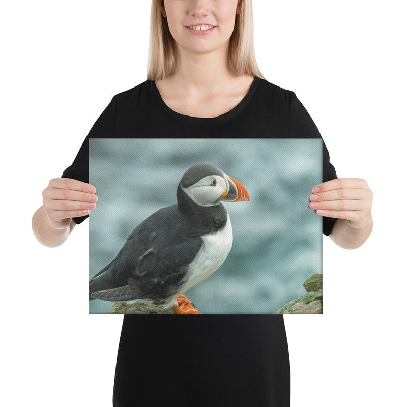 Atlantic Puffin - Go Wild Photography [description]  [price]