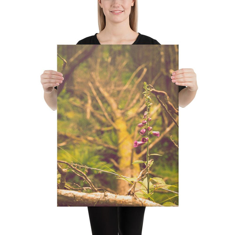 Life Finds a Way - Go Wild Photography [description]  [price]