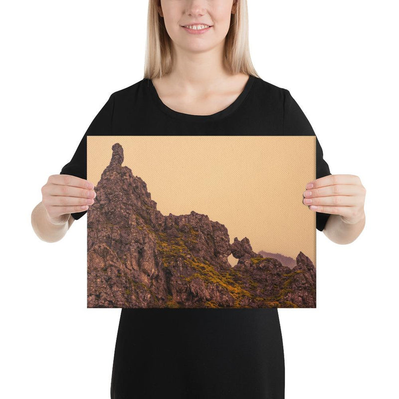 Rhino Rock - Go Wild Photography [description]  [price]