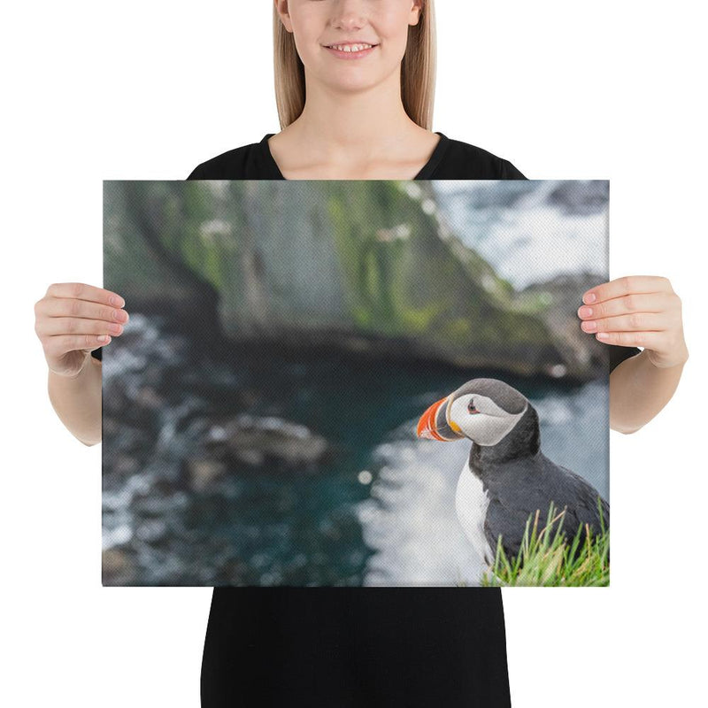 Puffin Cliffs - Go Wild Photography [description]  [price]