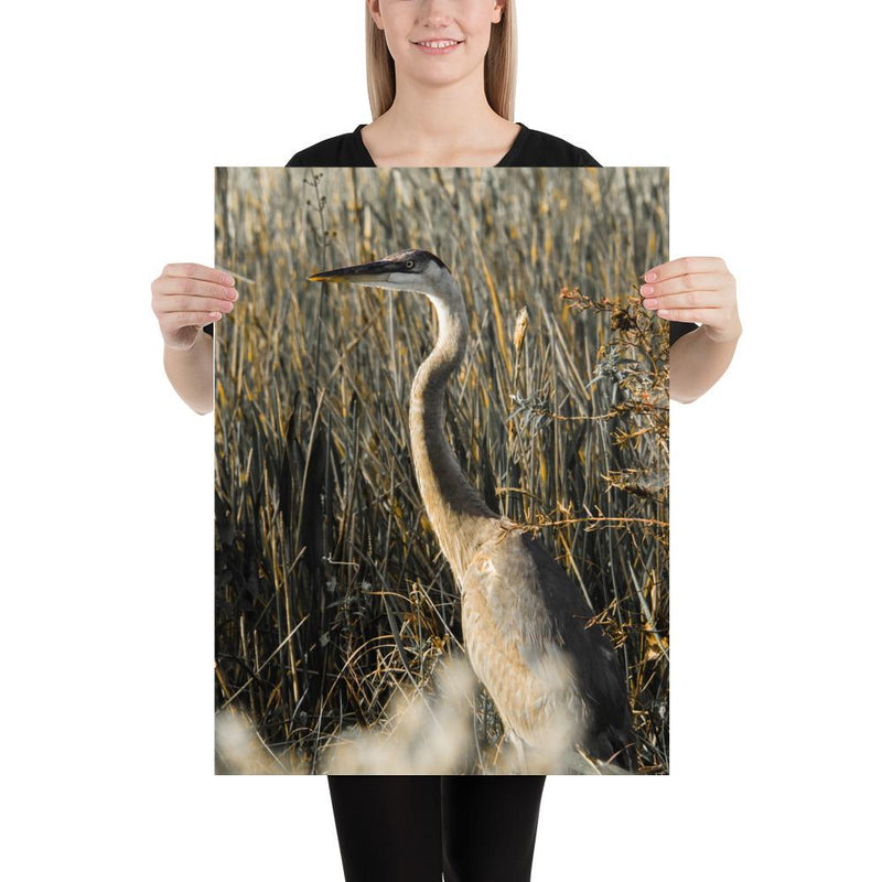 Heron - Go Wild Photography [description]  [price]