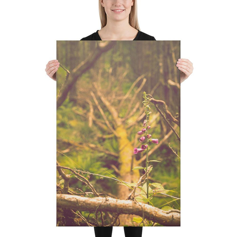 Life Finds a Way - Go Wild Photography [description]  [price]