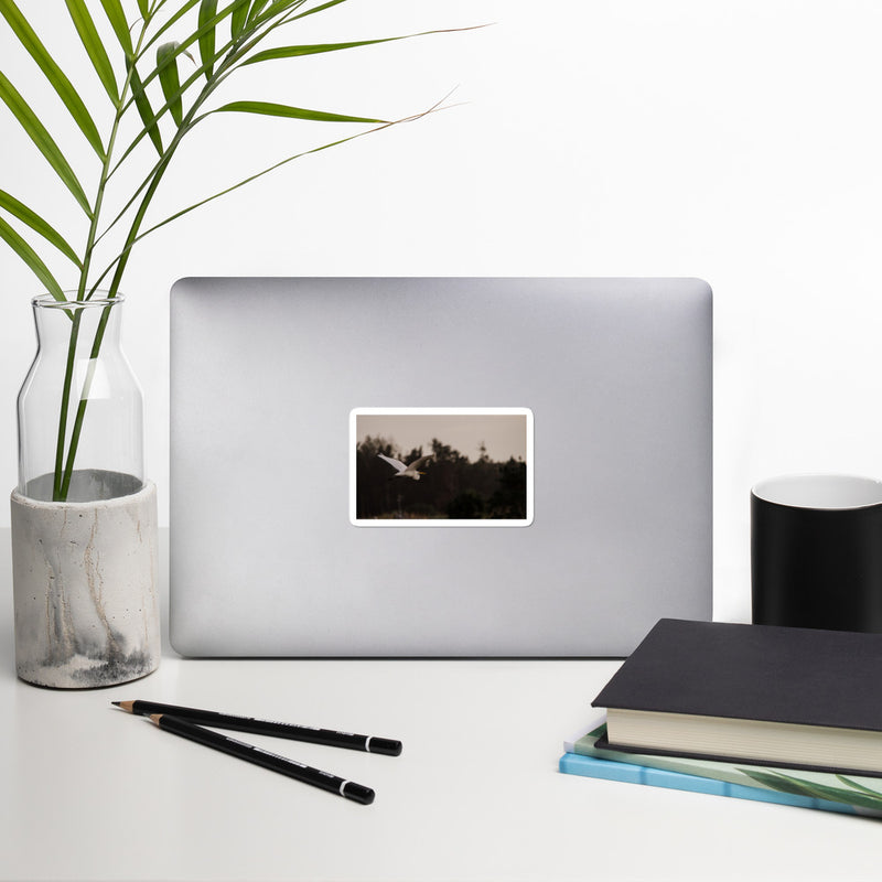 Cattle Egret Bubble-free stickers - Go Wild Photography [description]  [price]