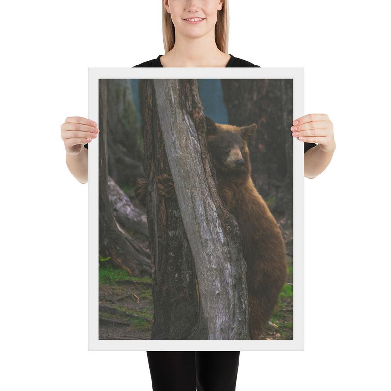 Bear Hug - Go Wild Photography [description]  [price]