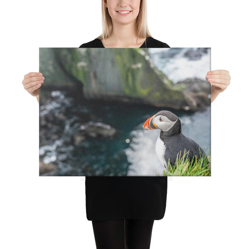 Puffin Cliffs - Go Wild Photography [description]  [price]