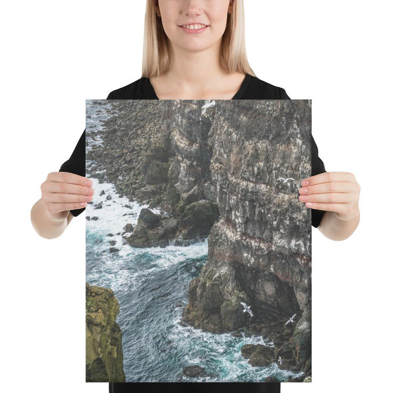 Gull Gulley - Go Wild Photography [description]  [price]